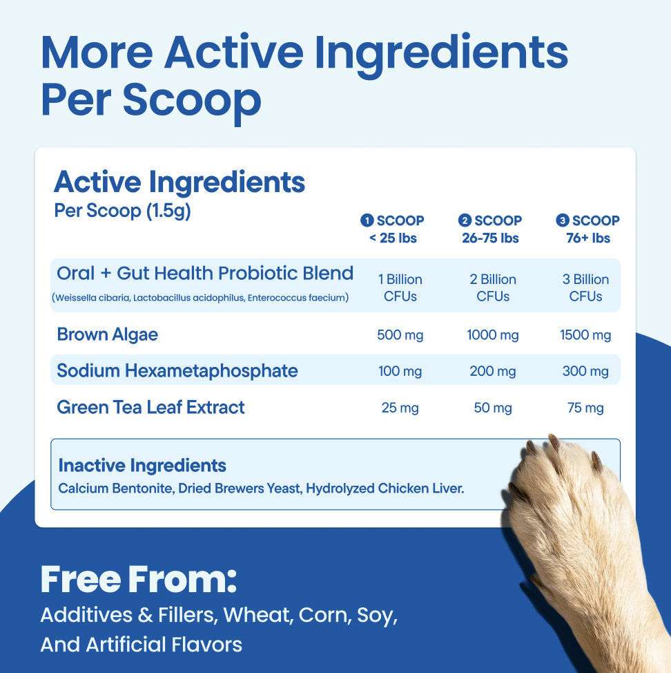 Cooper & Bella ingredient scoop detail with annotated active ingredients