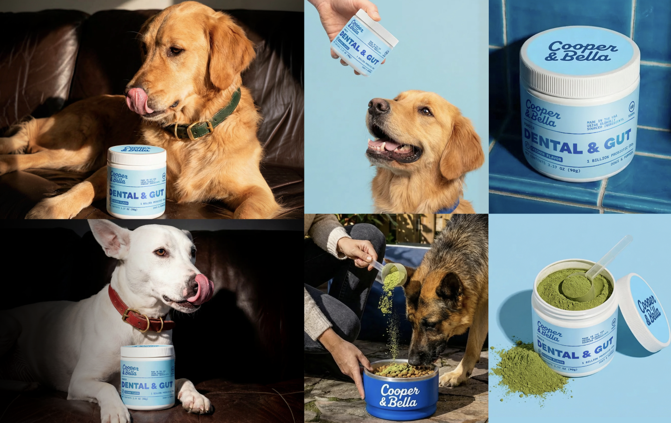 Cooper & Bella photography library grid