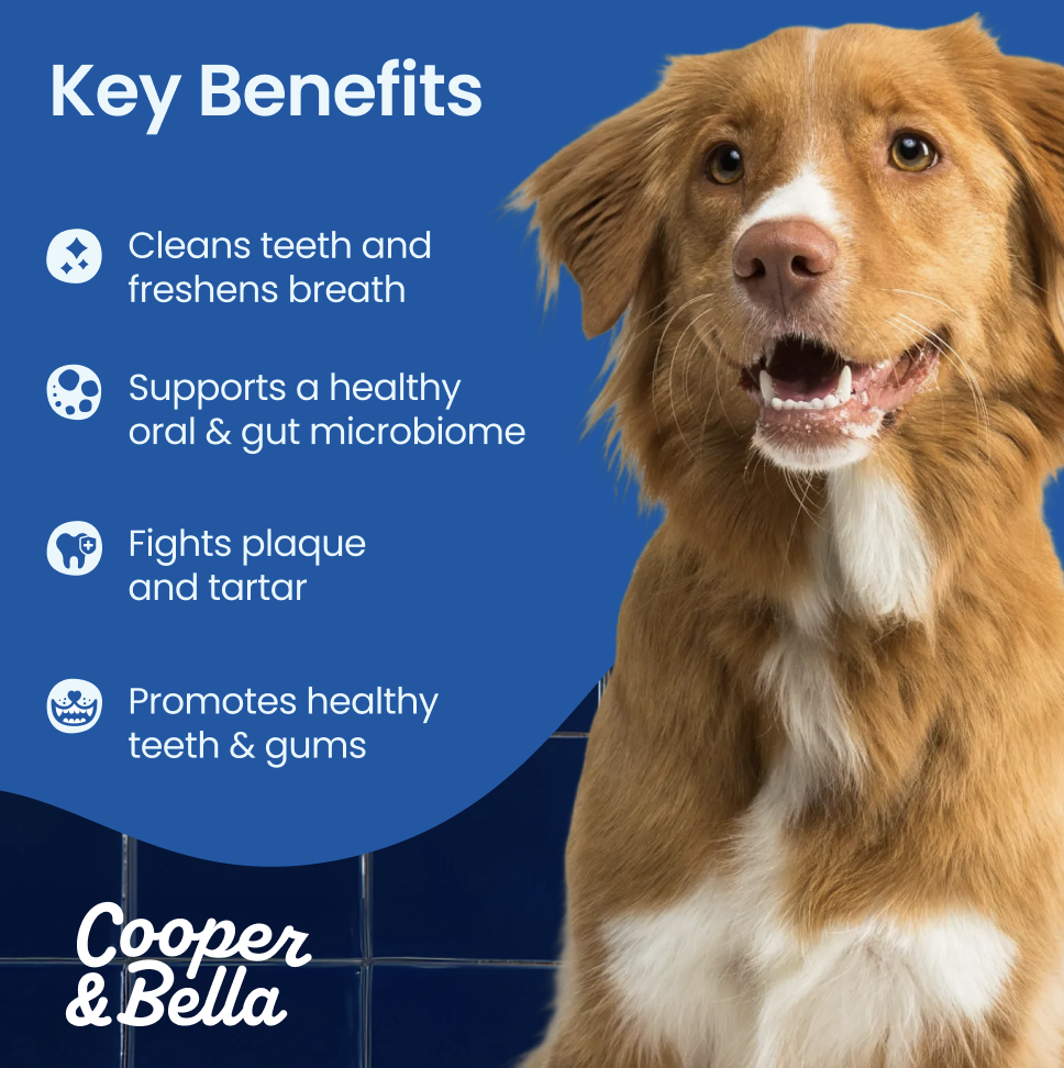 Cooper & Bella Key Benefits module with icon-led benefit list and a Nova Scotia duck tolling retriever
