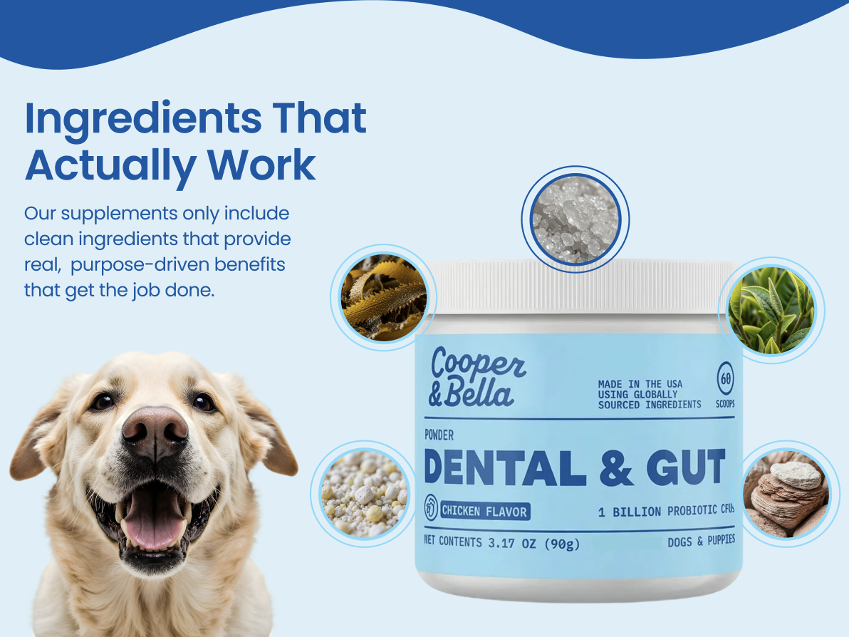 Cooper & Bella module explaining how each active ingredient works
