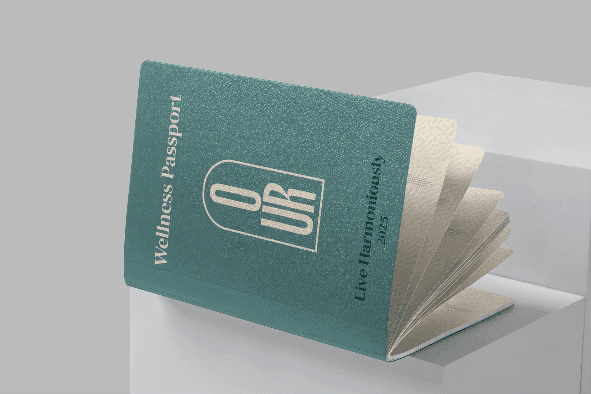 Portfolio carousel image 15