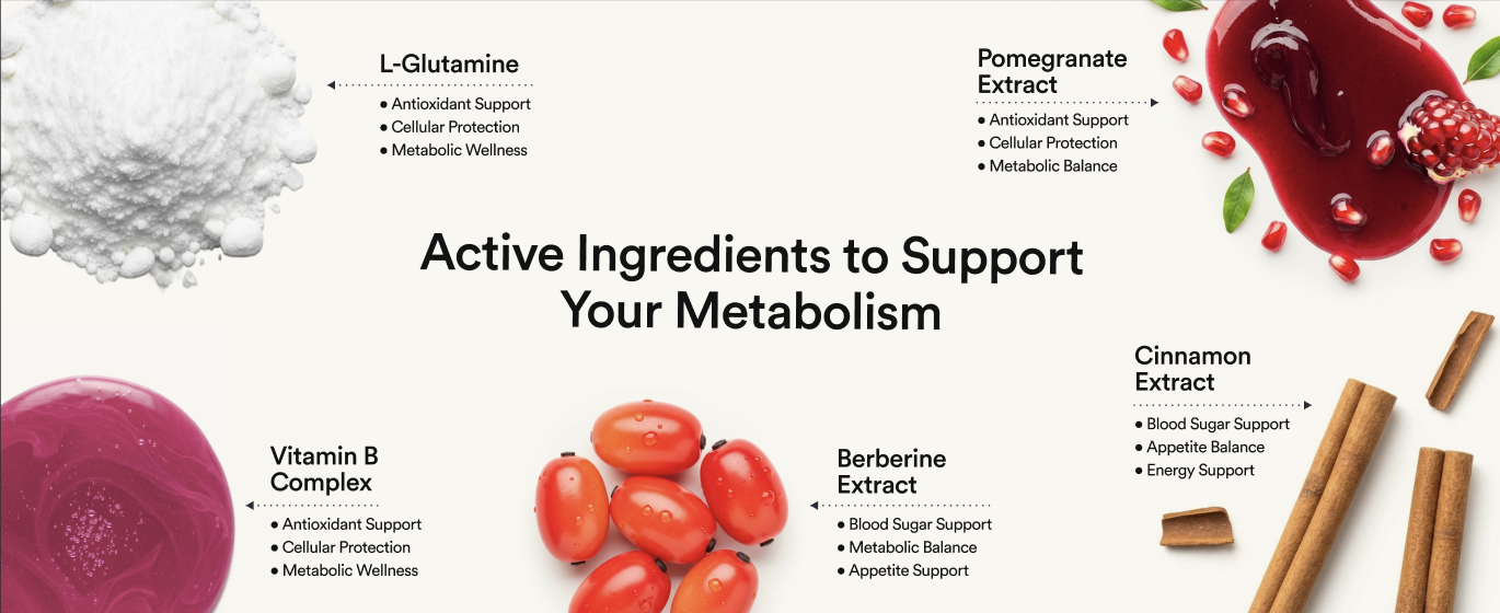 'Active Ingredients to Support Your Metabolism' frame mapping L-Glutamine, Pomegranate, Vitamin B Complex, Berberine and Cinnamon extracts to their benefits