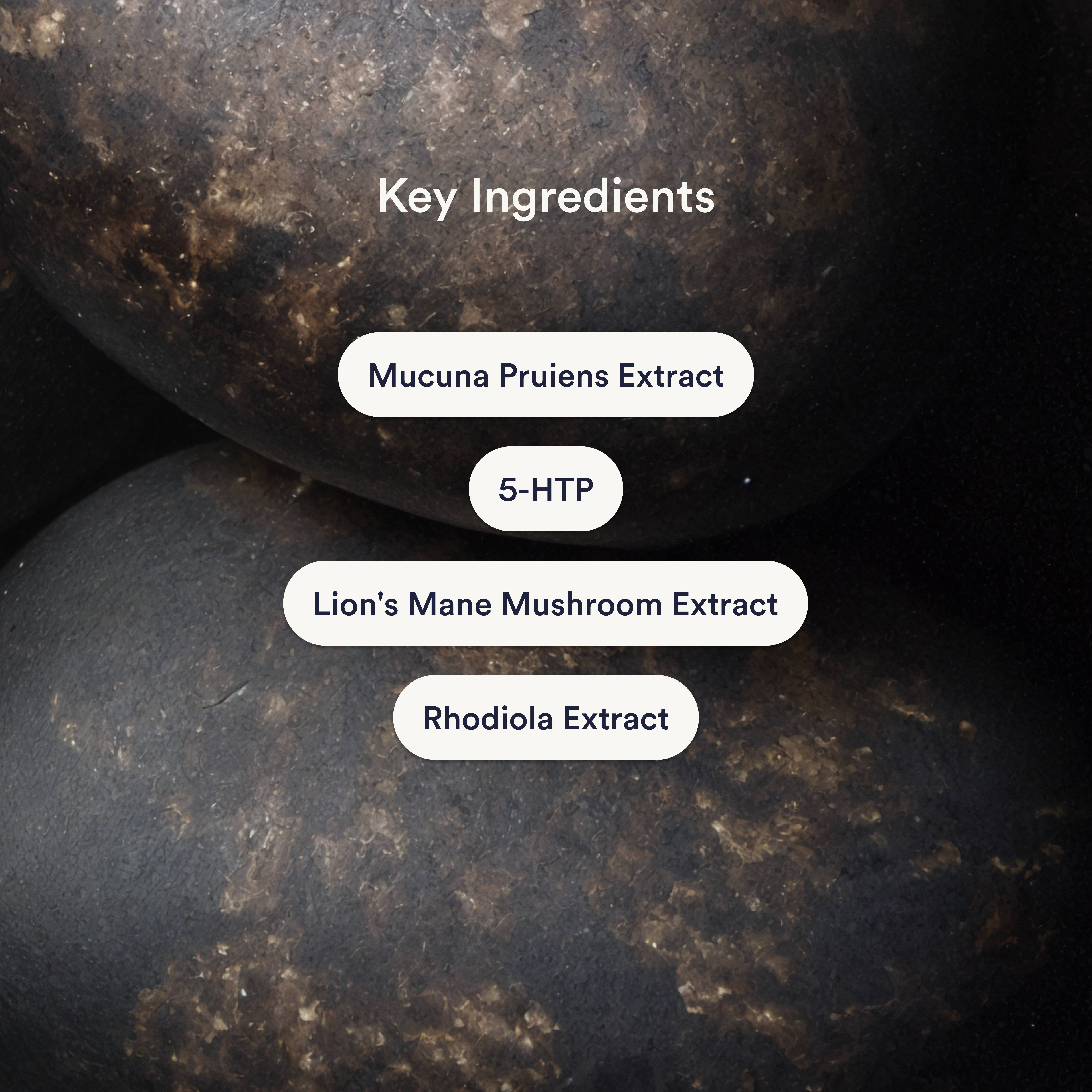 Mood+ key ingredients frame listing Mucuna Pruiens, 5-HTP, Lion's Mane and Rhodiola extracts on a dark stone backdrop