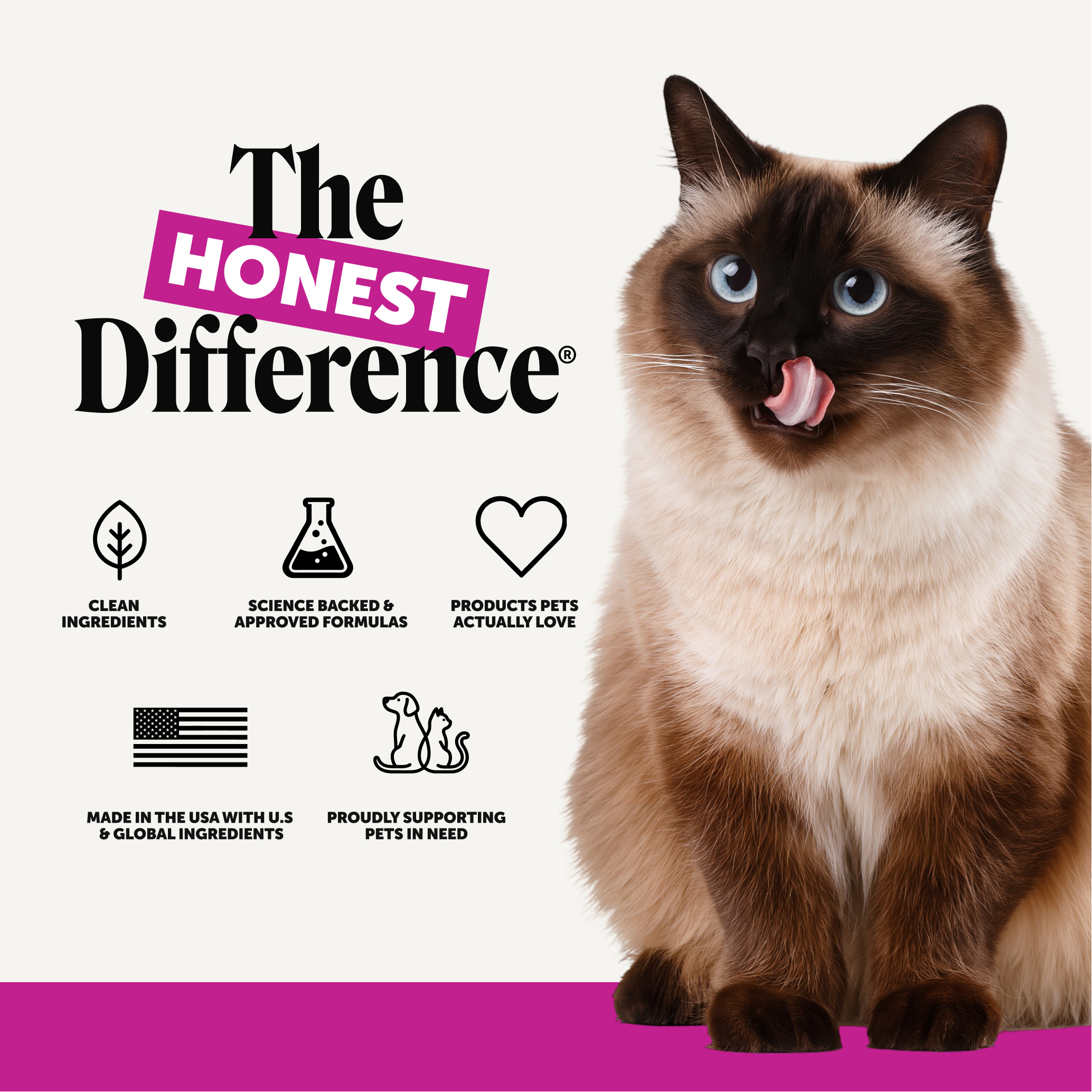 Pet Honesty 'The Honest Difference' Amazon frame with a Siamese cat and clean-ingredient trust icons
