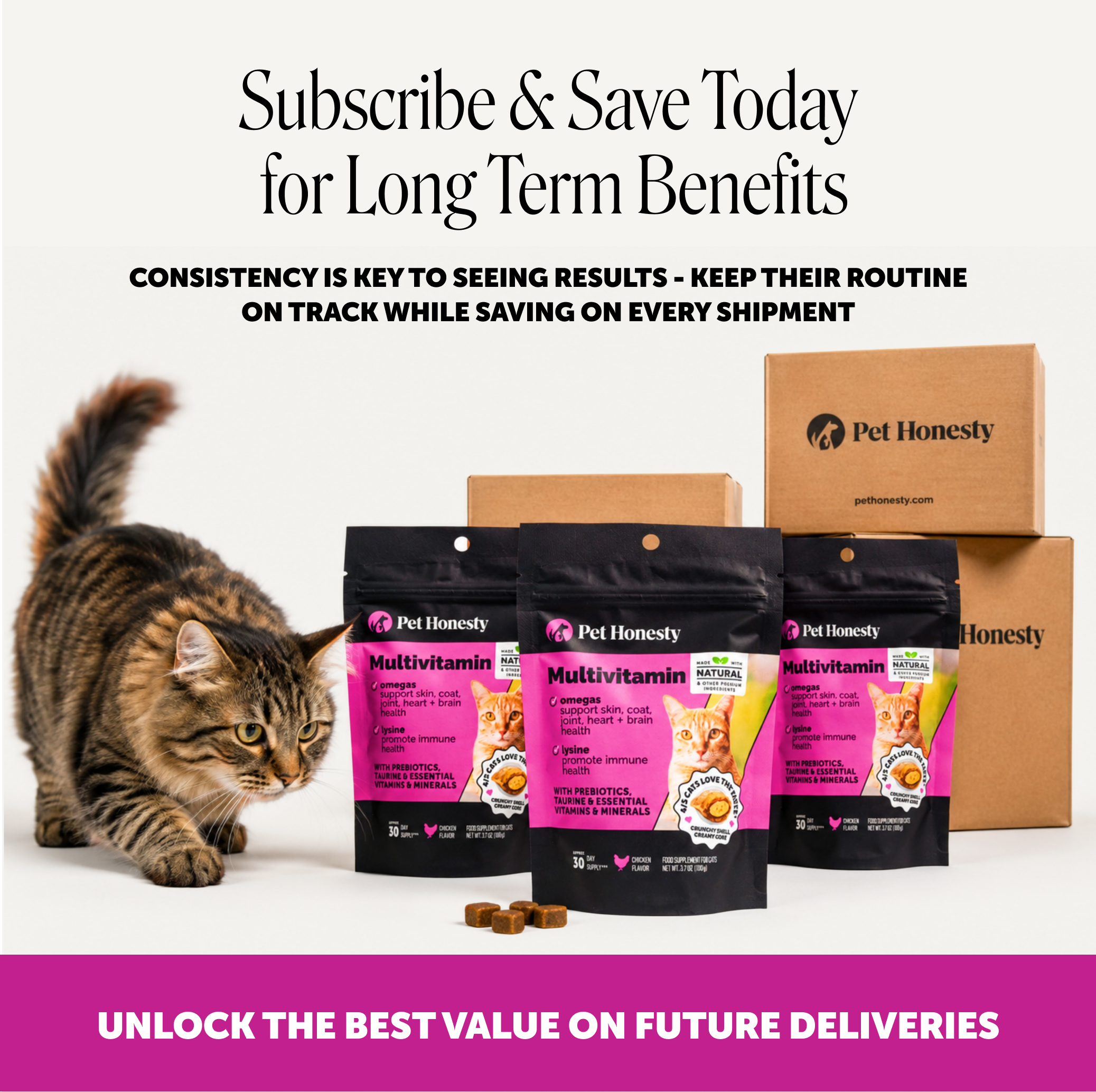 Pet Honesty subscribe-and-save offer frame