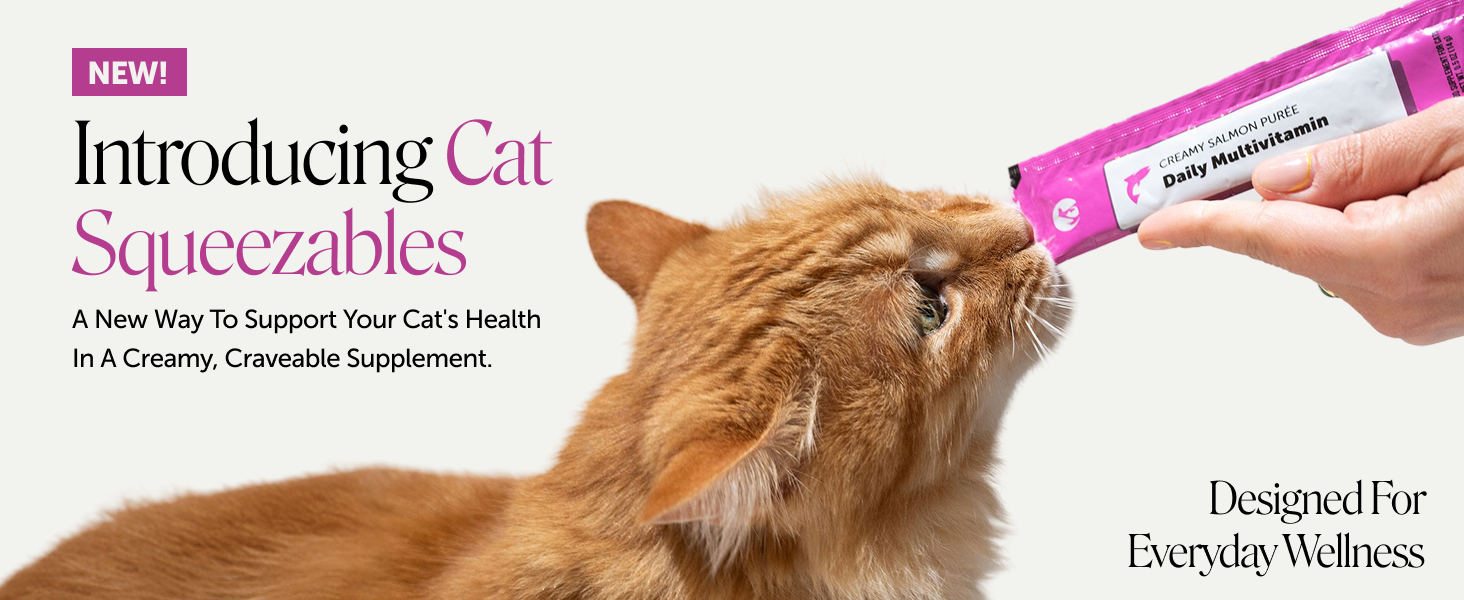 Pet Honesty 'Introducing Cat Squeezables' banner