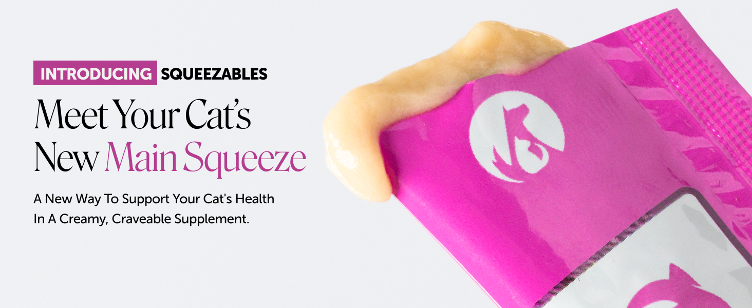 Pet Honesty 'Main Squeeze' promo banner