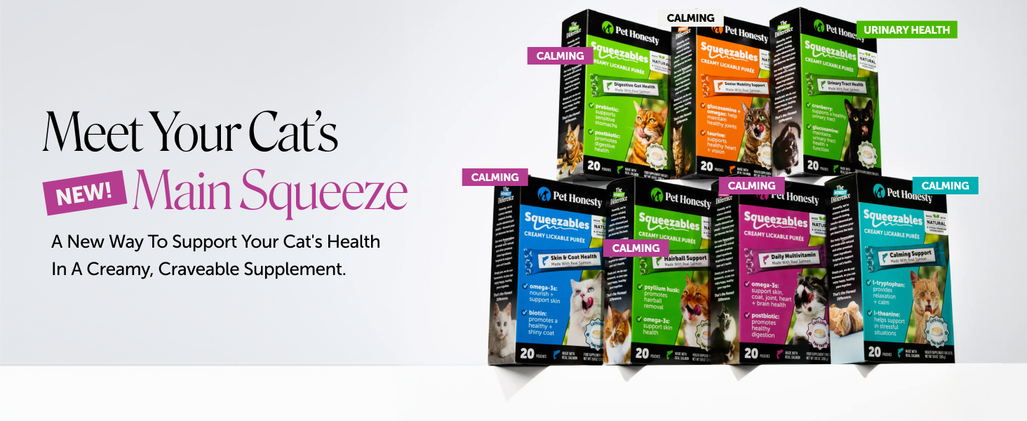 Pet Honesty 'Meet Your Cat's New Main Squeeze' launch hero banner